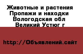 Животные и растения Пропажи и находки. Вологодская обл.,Великий Устюг г.